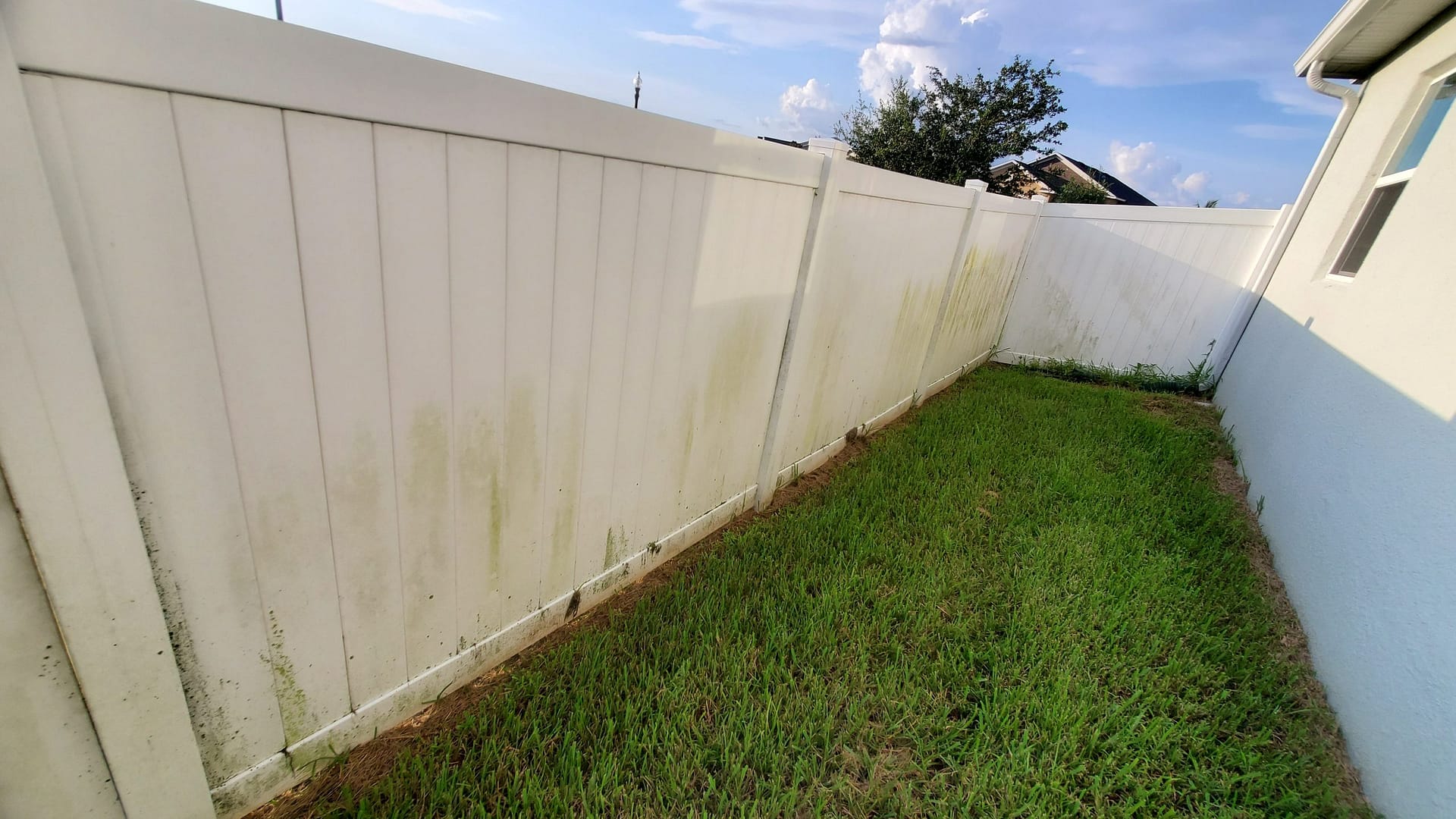 Fence Cleaning